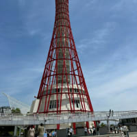 神戸ポートタワーがリニューアルオープン‼️