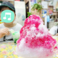 春休み沖縄の旅~首里城と斎場御嶽~