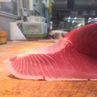 今日は舞鶴、定置網です（＾＾）