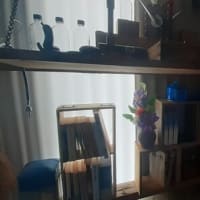 庭木のお手入れ