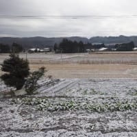 雪化粧