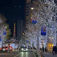東京　六本木のクリスマスイルミネーション