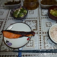 きゅうりとシイタケとイカの酢味噌