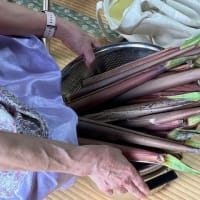 目指せ健康１１２才