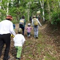 今年度、野外活動の集大成、『冬の森さんぽ』参加者募集です!!