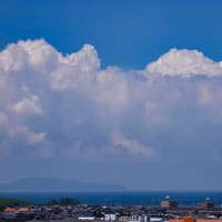 今朝の大山さん　8月6日