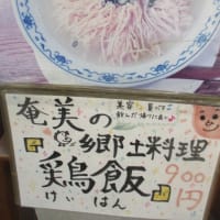 南州ラーメン・・・薩摩・鹿児島のラーメン　広島県呉市で食べることが出来ます　西郷隆盛「敬天愛人」