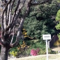 もう12月5日になりますが～