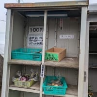 日出町の「とわや」でランチ　週2回しか開いていないが味よしコスパよし