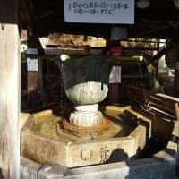寅のお寺　信貴山朝護孫子寺