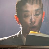 トーマス・マン“魔の山” (1)「魔の山」とは何か　「12」