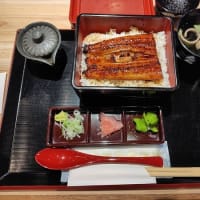 暑かったぁ・・・