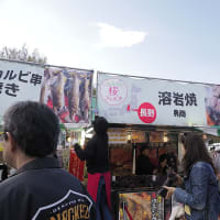 東博の帰り道　うえの桜フェスタ そして 肉離れ