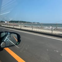 コン爺　茅ヶ崎　刺身定食😎❣️