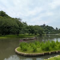 初夏の三渓園