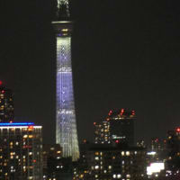 日向坂46の虹開催記念特別ライティング10