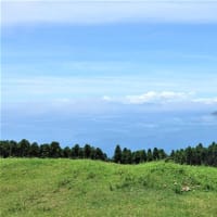 都井岬の風景