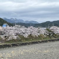 風に乗って雅楽の笛の音、遠州の小京都・森町の春