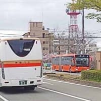撮影日記