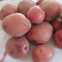リネントレイの新顔たち・・・