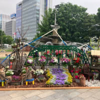 札幌大通り公園　花フェスタ2025