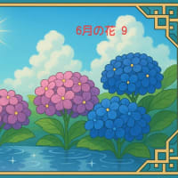 6月の花 ９