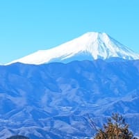 久しぶりの登山