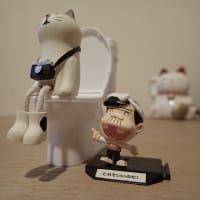 色んな風景～セリア（１００円ショップ）でお買い物～