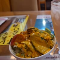 インド・ネパール レストラン&バー シリザナ「ダブルカレーセット」(佐倉市)