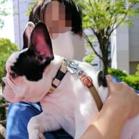 大好きだった公園