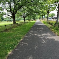 走りながら…