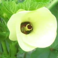 7月、ある休日のあれこれ（1）