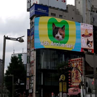 出会いはふた昔前