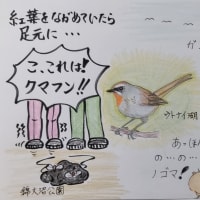 プチ旅行　苫小牧市　ウトナイ湖　