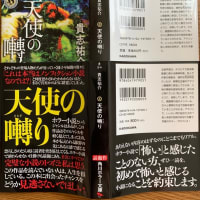 普段ほとんどホラー小説読まないけど「天使の囀り」読んだ