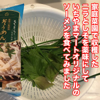 家庭菜園で収穫したニラとしそを薬味にして、いちやまマートオリジナルのソーメンを食べてみました！