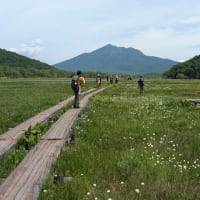 群馬/栃木の旅　（6月中旬）