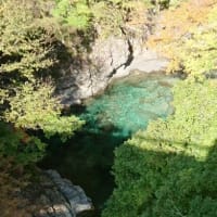休日のお出掛け