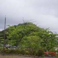 寄居山公園
