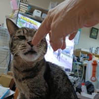 ブログ終わるって😭