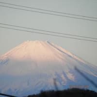 今年もよろしくでち