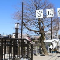 旅の好きな君へ
