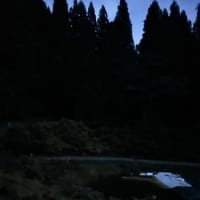 ホタル狩り