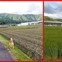 GW♪能登を目指して車中泊旅。その2