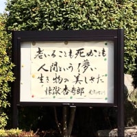 「命さえあれば」