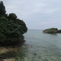 アジア系米国人の肥満