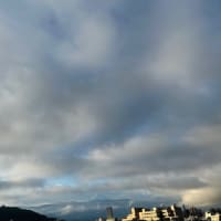 今朝は・・・