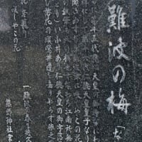 江南所無は仁徳天皇時代から存在した　水戸の浪速の梅と烈公梅の関係など
