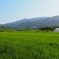 朝墳活IN纏向③　～北口塚古墳・小川塚東古墳・西古墳など～