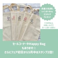 Happy Bag入荷